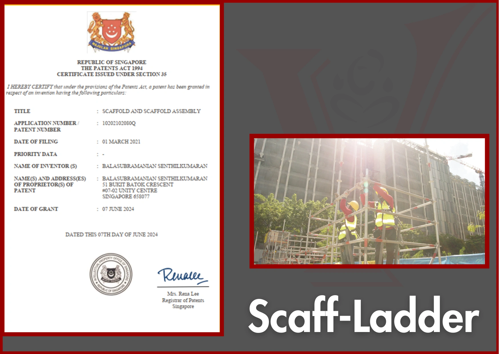 scaff ladder