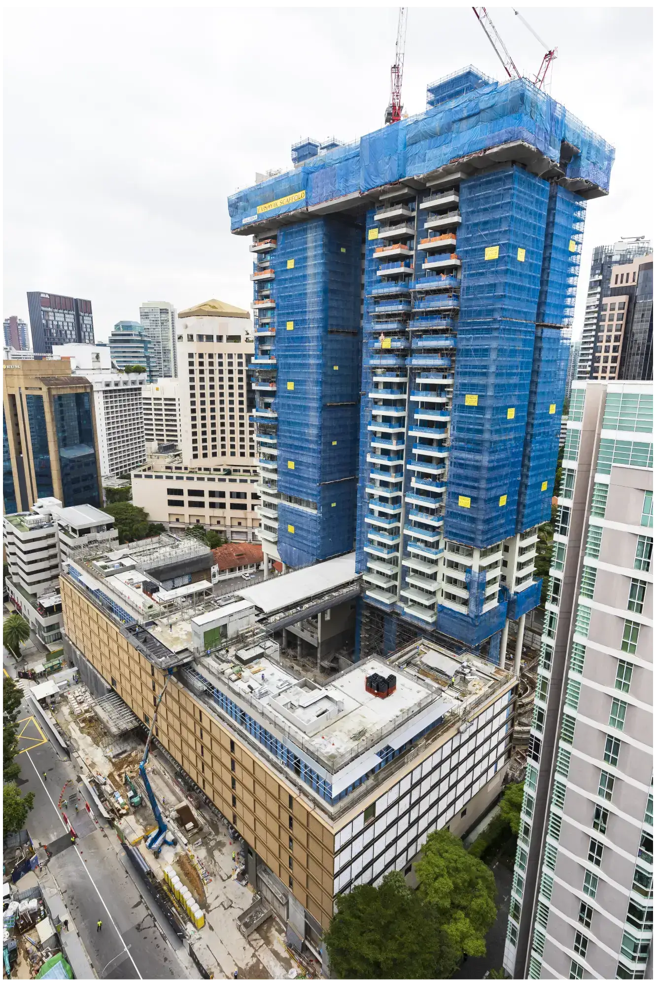 Vinayak Scaffold